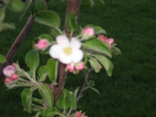 And Another - very pretty I think