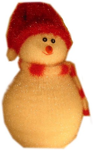 teddy - teddy