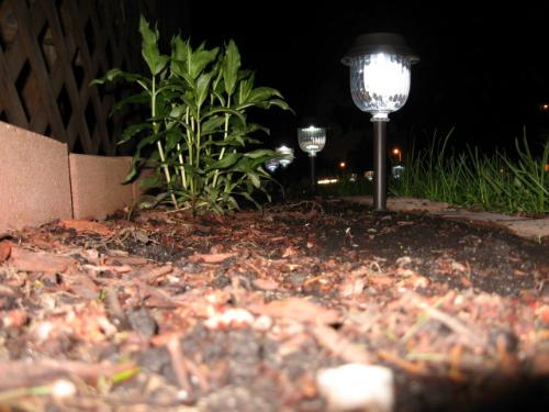 Phlox - edging bricks my Phlox and new solar lights