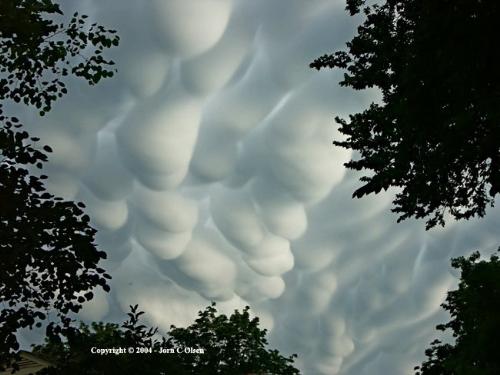 Cloud Forms - Amazing Cloud Forms!