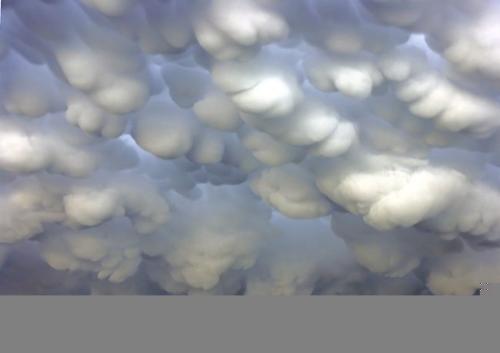 Cloud Forms - Amazing Cloud Forms!