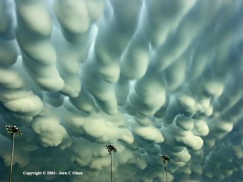 Cloud Forms - Amazing Cloud Forms!