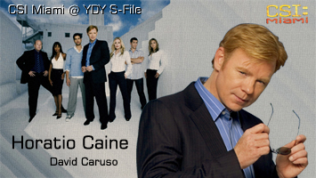 csi - Lieutenant Horatio Caine