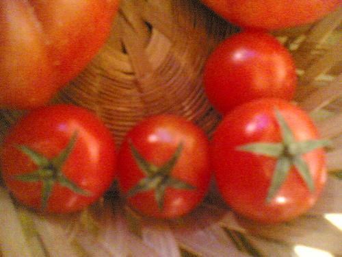 Tomatoes - Italian little tomatoes Tomatoes - Italian little tomatoes