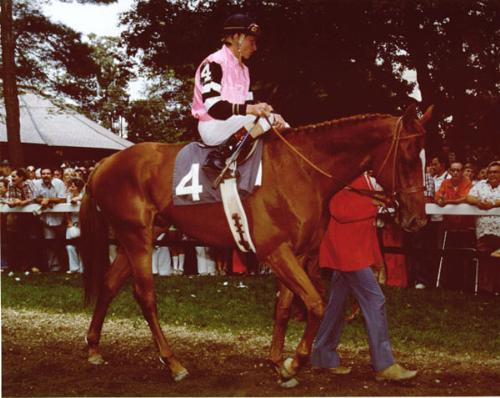 Affirmed and jockey Steve Cauthen - Steve was only 18 years old when he rode Affirmed to the Triple Crown.