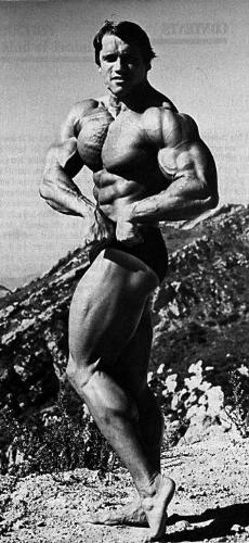 arnold - arnold full body