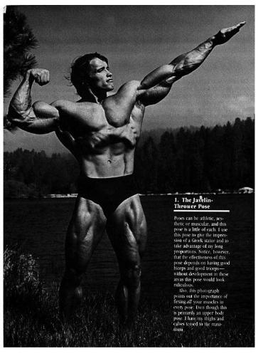 arnold body - arnold's full body posture