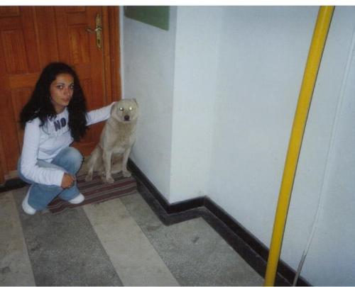 me and my dog  - i have a dog in my neighborhood