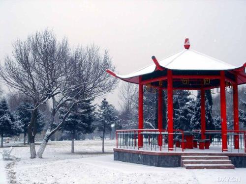 my campus - here is a picture of my campus taked in winter, and i have been here for 5 years so ,the campus has given me a lot recalls.just as the picture which will makes me remember everything about it.