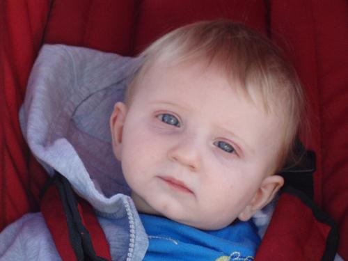 My Baby Cooper - 6 months old at the time of this photo!