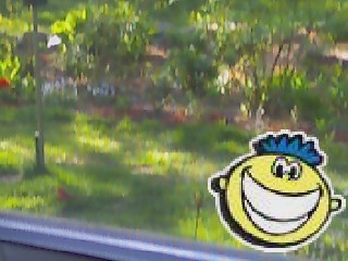 Parents backyard - Here is a picture of my parents backyard, with a piece of clipart that I added with my cell phone camera. :-) There is a cardinal down on the grass eating food.