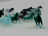 horses - need a rope to tie them horses - need a rope to tie them
