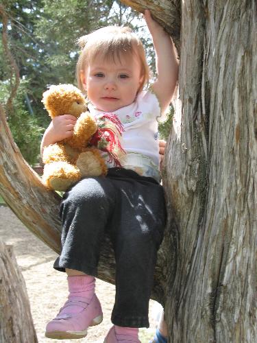 Ary climbing a tree - Okay so if you look real close there is a hand holding her up.   But she sure looks cute in a tree with #1 her best buddy's Danny Bear