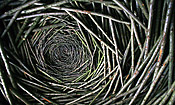 Complexity - Life is something like Complex thing happens every moment.