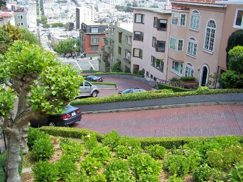 crooked street  - in San Francisco..from the top of the hill you can see Alcatraz as well which is a nice view