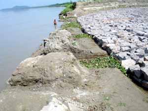 Faulty construction works of spur  - Faulty construction works of spur over the mighty Brahmaputra at Simina in Palasbari, Asom, India.