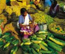 A vegitable vendor in Kerala. - Vegitables are full of vitamins and minerals. Millions of people around the world are vegitarians who do not eat meat or fish. Consuming various vegitables improve our immunity system too