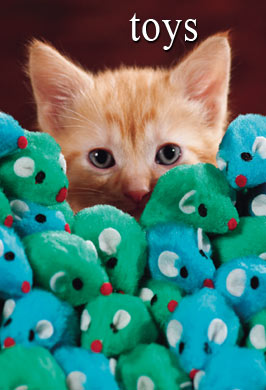 Cat Toys - do you buy them for your kitty?