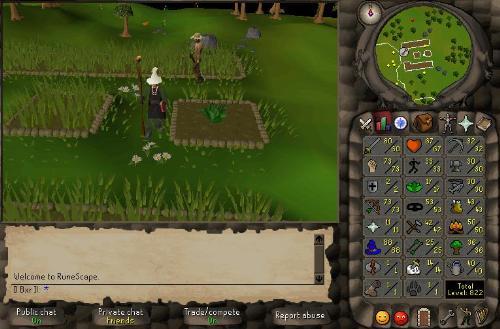 Runescape - My pures stats on runescape :)