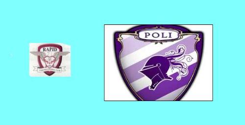logo - logourile celor 2 echipe.