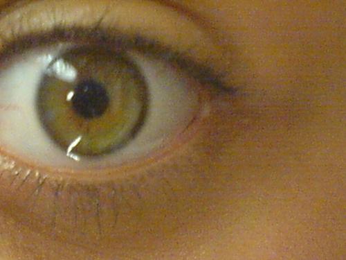 eye - eye