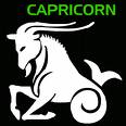 i'm a capricorn - successful capri