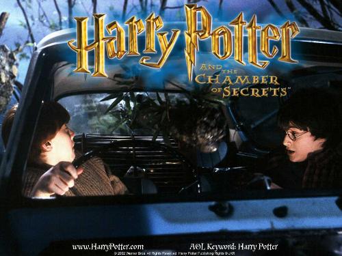 harry potter - this photo shows the picture of harry potter and his friend in the chamber of secrets..this picture portrays how harry and his friend are in danger..this movie is a nice one and every one should watch that movie