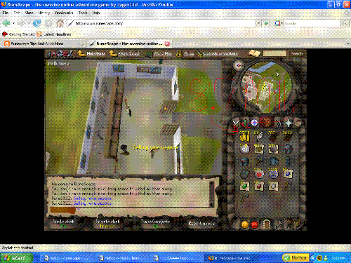 Inventory Picture - A picture of some of my bank in my inventory!
