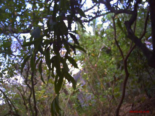 nice view - this picture was taken from the forest outside our house