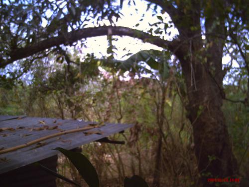 nice view - this picture was taken from the forest outside our house