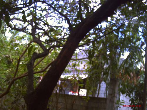 nice view - this picture was taken from the forest outside our house