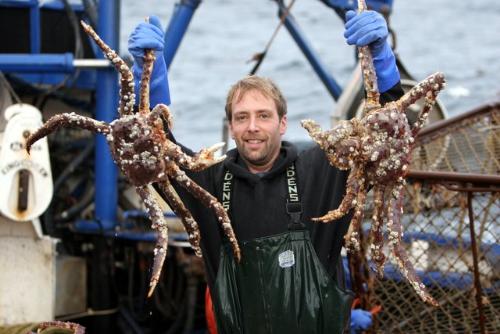 Edgar with King Crab - Red Gold