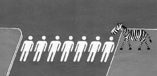 Zebra crossing - imagine if this happens