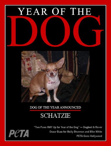 Schatzie My Dog of the Year  - One of my babies