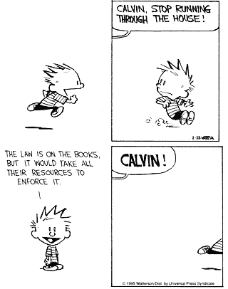 Calvin and hobbes - calvin