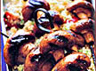 Grilled Mushroom Kebabs - Picture of a favourite dish.