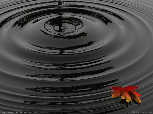 awsome!!!!! - See it to believe it.