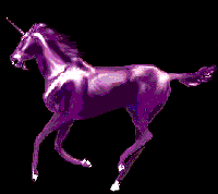 horse - life horse