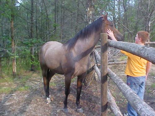 dixie and Wyatt - my mare with my step son