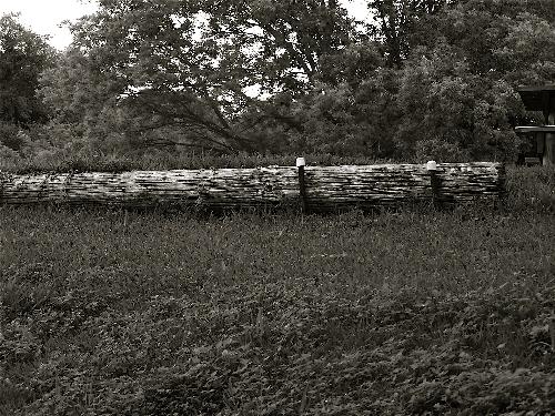 log - this just looked better in B&W