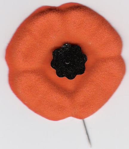 poppy - We wear poppies on November 11 to honor our war veterans.