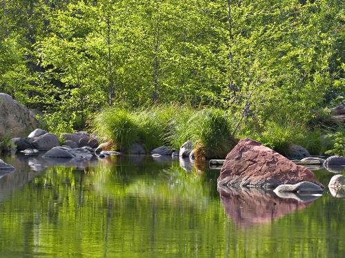 A peaceful scene - This lakeside scene will help to calm you and see hope for the future.