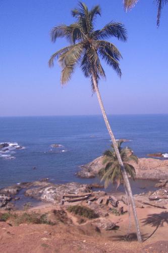 Scenery 5 - Vagator Beach