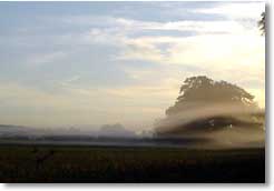 What happened to the True Christians Seed? - Where can we find true Christians today?