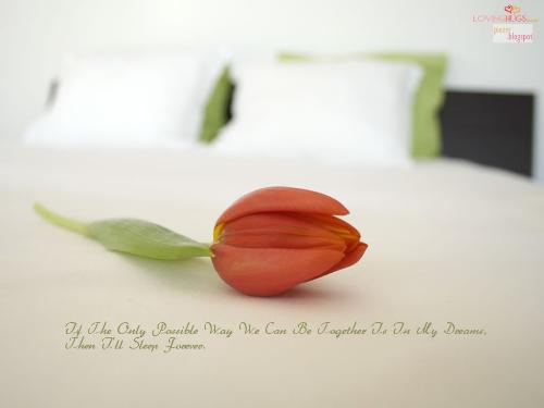 love wallpaper - love wallpapers, love quatations