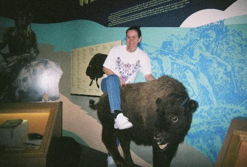 Latisha riding a buffalo  - Latisha riding a buffalo