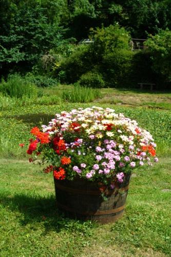 Basket of Flowers - Arrangement of flowers in a basket.