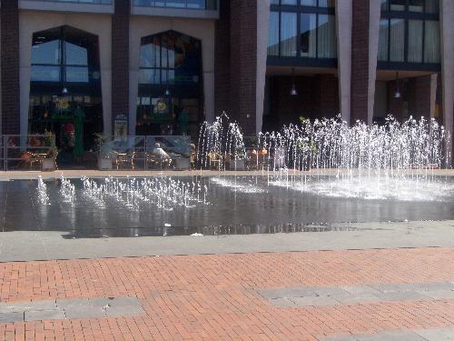 watery ground - Cool cool day to be out