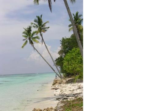 beach - libaong beach