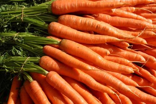 eating carrot - whiter teeth - eating carrot while it is raw helps our teeth